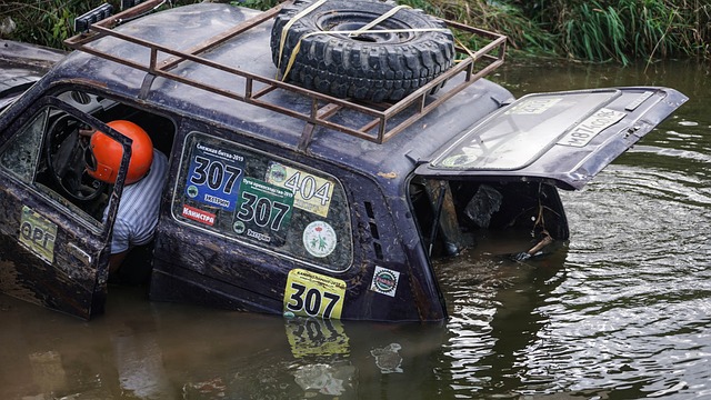 还将促进 还将促进