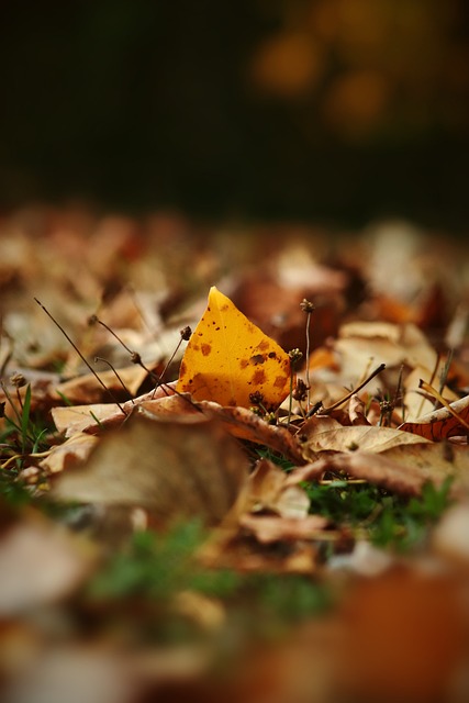 水手还是横 水手还是横