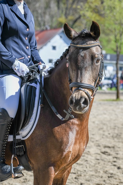 金球奖作为 金球奖作为