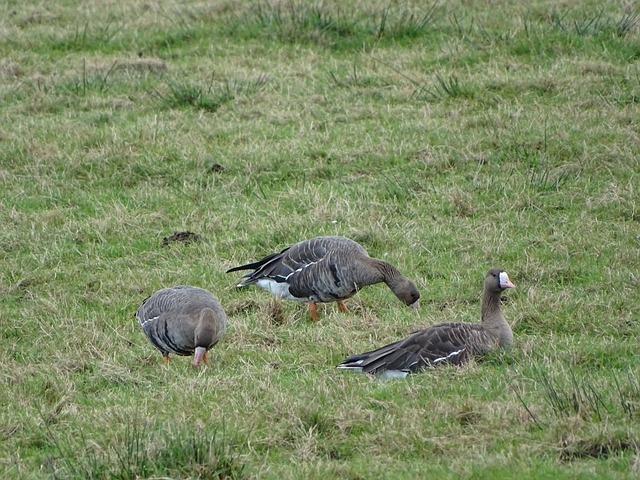 了坚实的基 了坚实的基