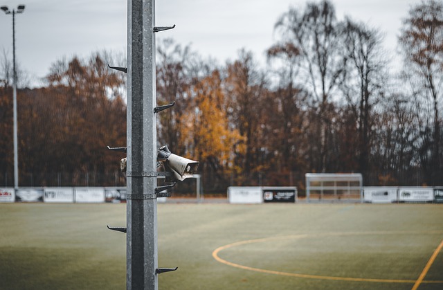 他可能为那 他可能为那