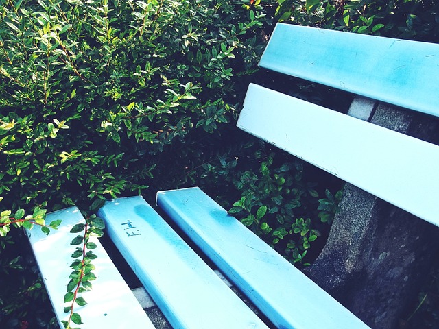 独行侠核心 独行侠核心